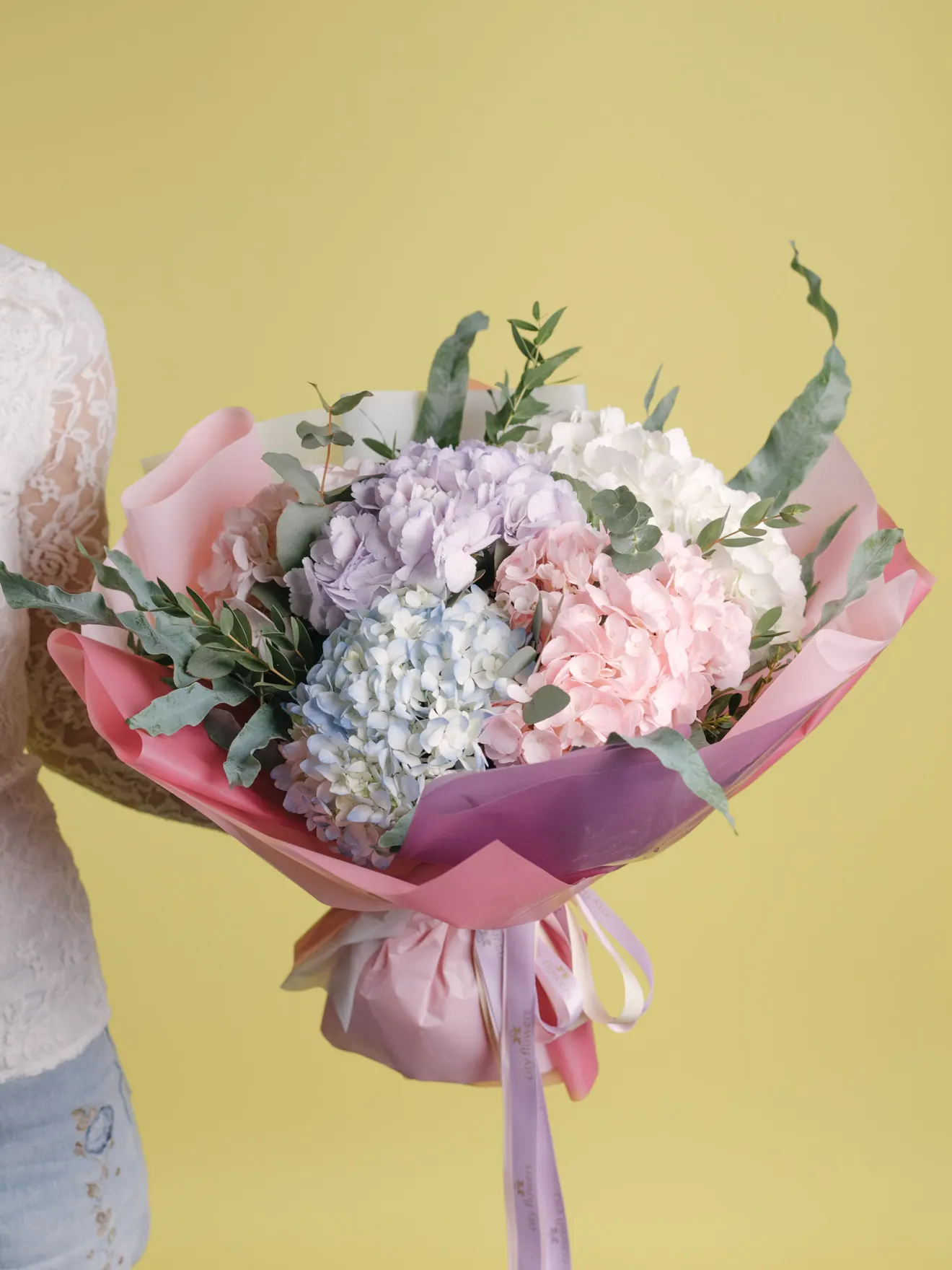 Acuarelă, 5 hydrangea în nuanțe pastel