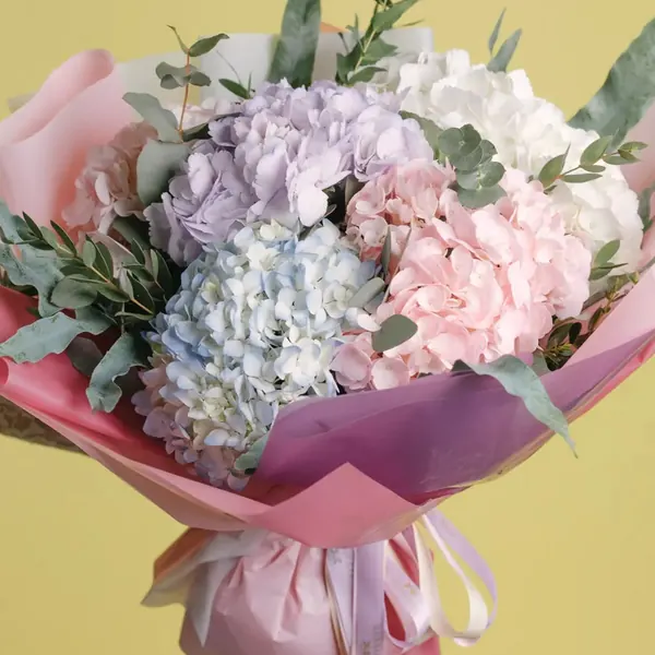 Acuarelă, 5 hydrangea în nuanțe pastel, fotografie de la Larisa I.