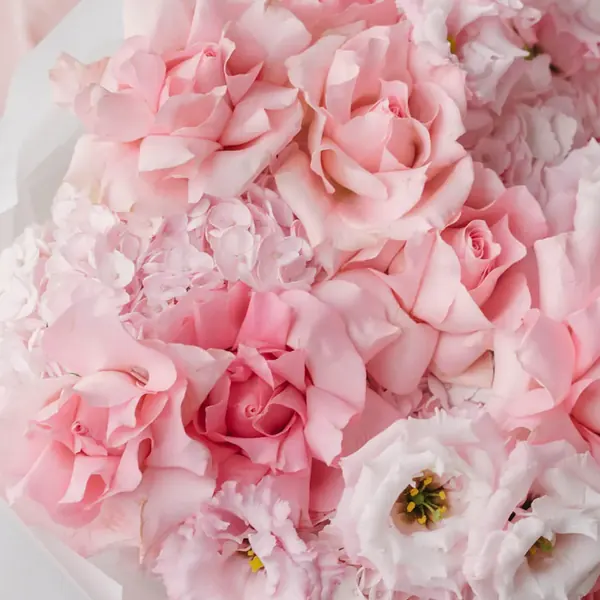 Sakura, 11 trandafiri și hydrangea roz, fotografie de la Alexandru M.